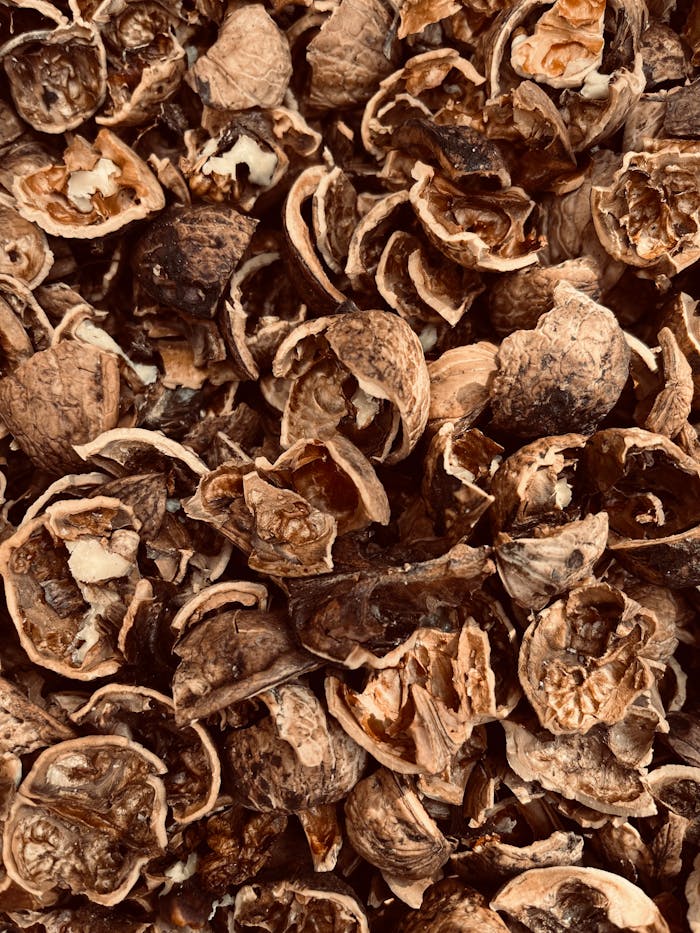 A pile of cracked walnut shells in a brown textured pattern, perfect for backgrounds.
