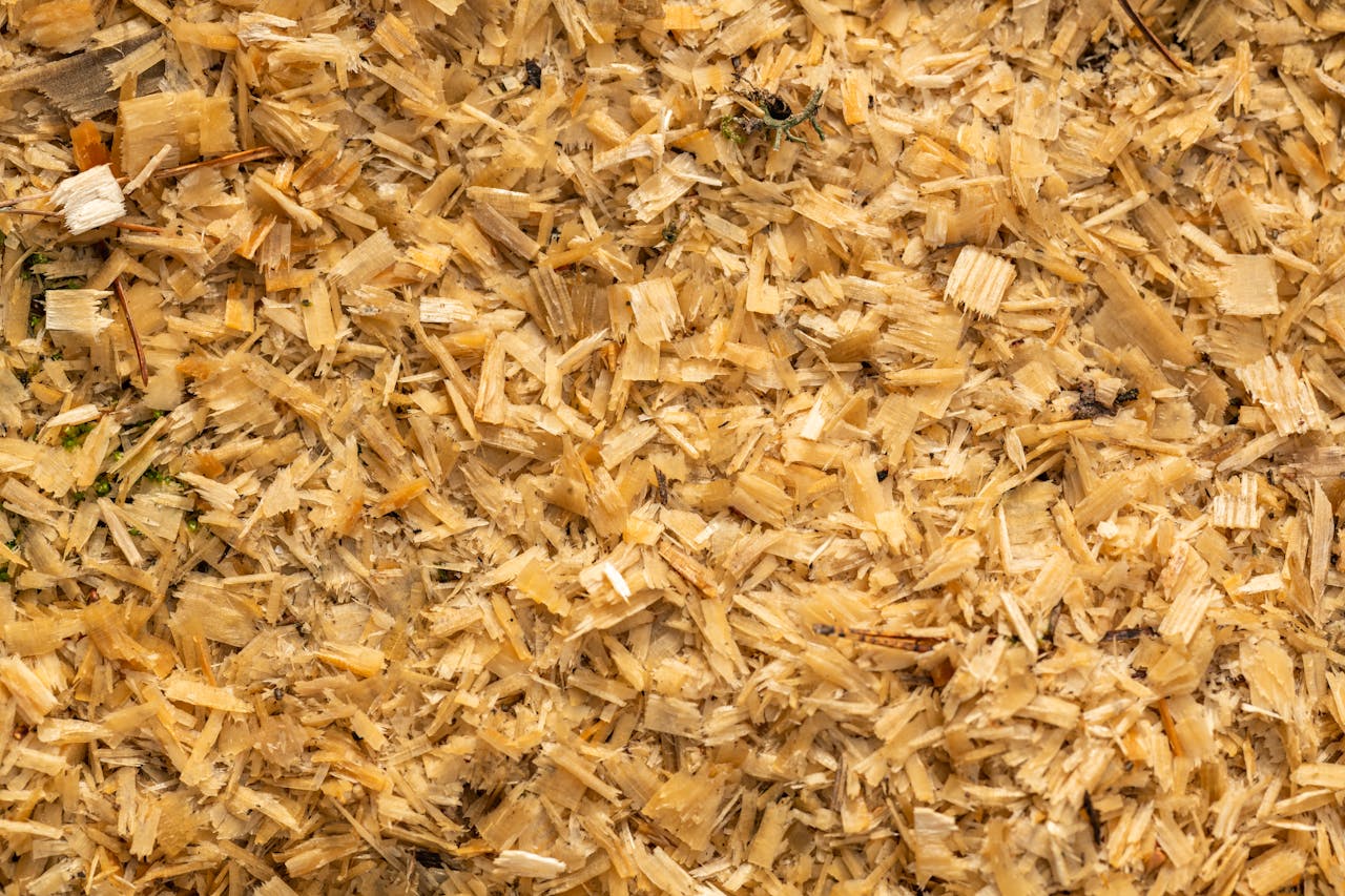 Detailed texture of wood shavings, showcasing natural patterns and carpentry materials.