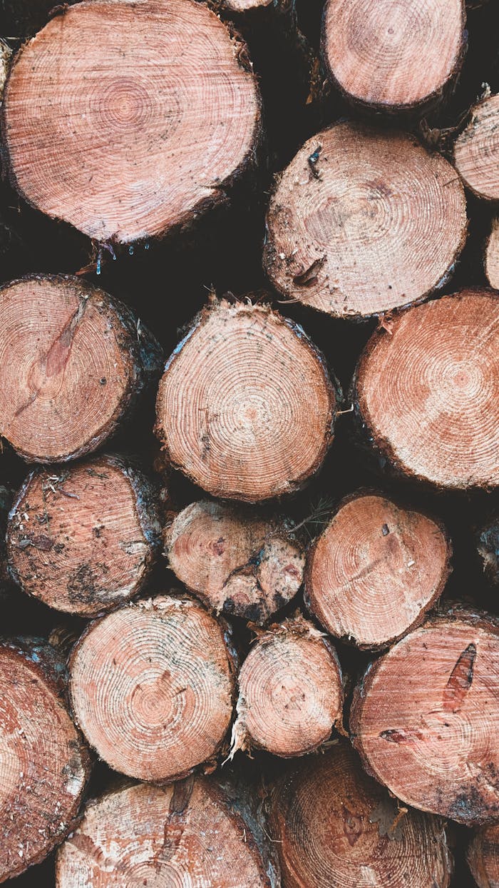 Close-up of tree logs stacked vertically, showcasing natural wood texture and patterns.
