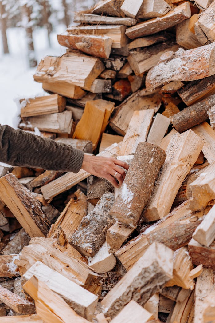 A hand selects firewood from a snowy stack in a winter forest setting.