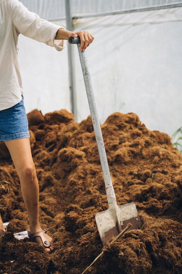 Person using a shovel in a greenhouse to prepare soil for cultivation.
